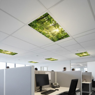 Fluorescent light cover with tree design in an office