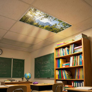 Nature scene decorative light covers