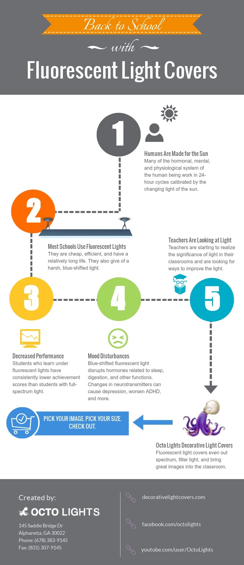 Back to School With Fluorescent Light Covers for Classrooms - Octo Lights - Fluorescent  Light Covers