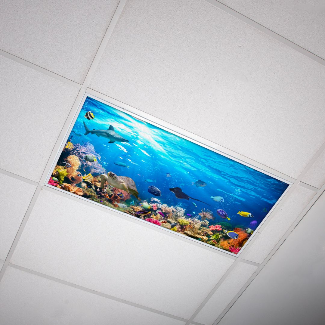 Octo Lights – Fluorescent Light Covers – Classroom, Office, Home – Ocean 004 – 2x4 Model